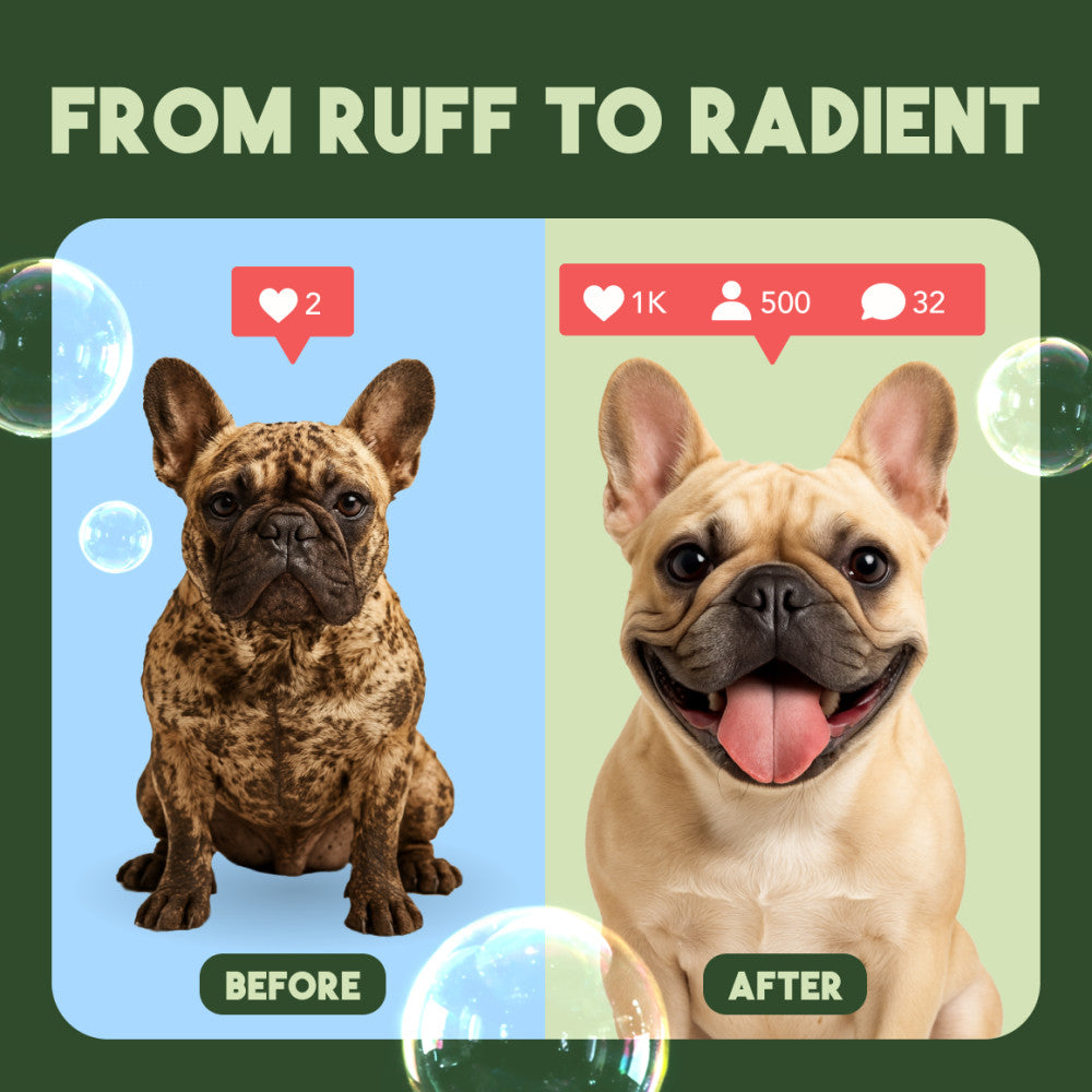 Before and after comparison of a dog with text 'From Ruff to Radiant' on a green background.
