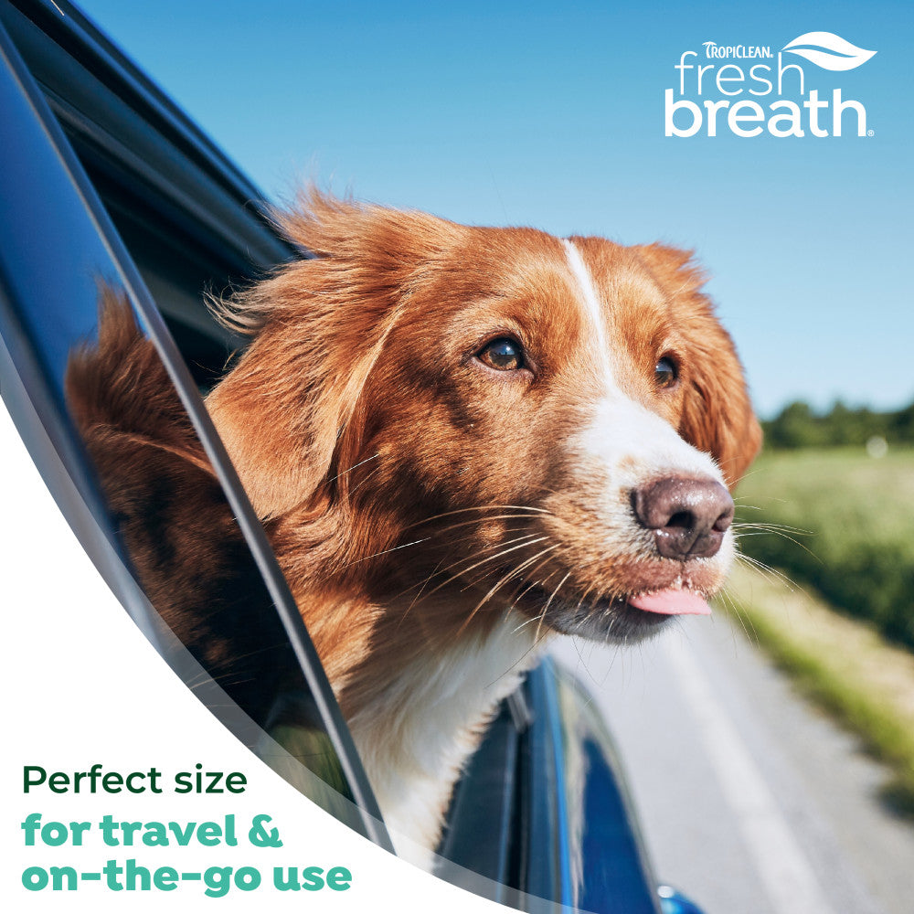Dog with its head out of a car window, with 'TropiClean Fresh Breath' branding.