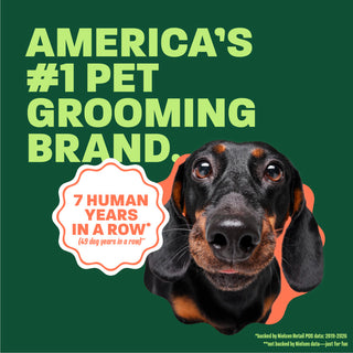 dachshund head popping out. Text, 