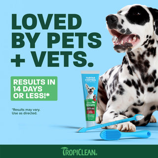 TropiClean Fresh Breath Beef Brisket Plaque & Tartar Control Brushing Kit, 2oz