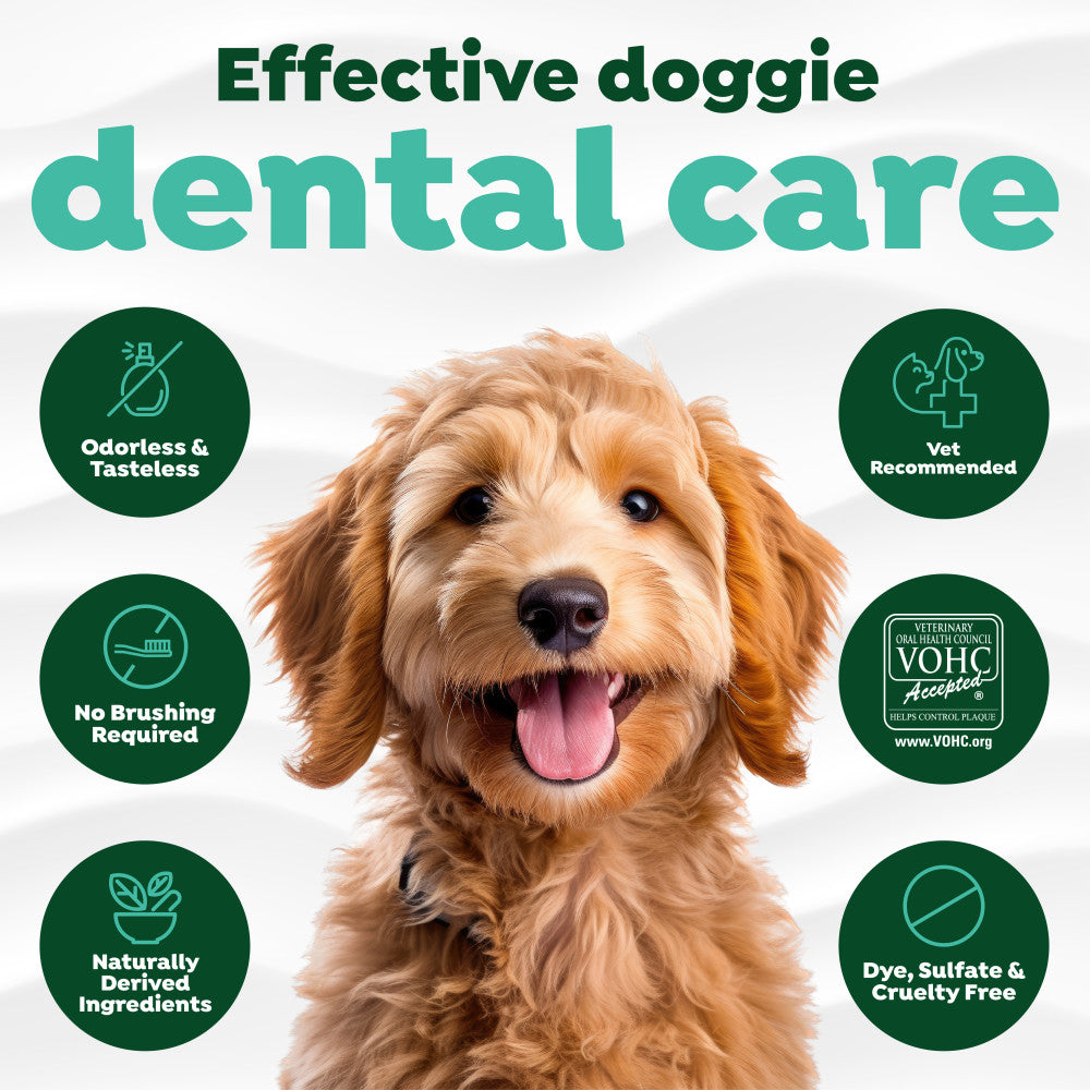 Dog with TropiClean Fresh Breath Oral Care Water Additive for Pets features and benefits 