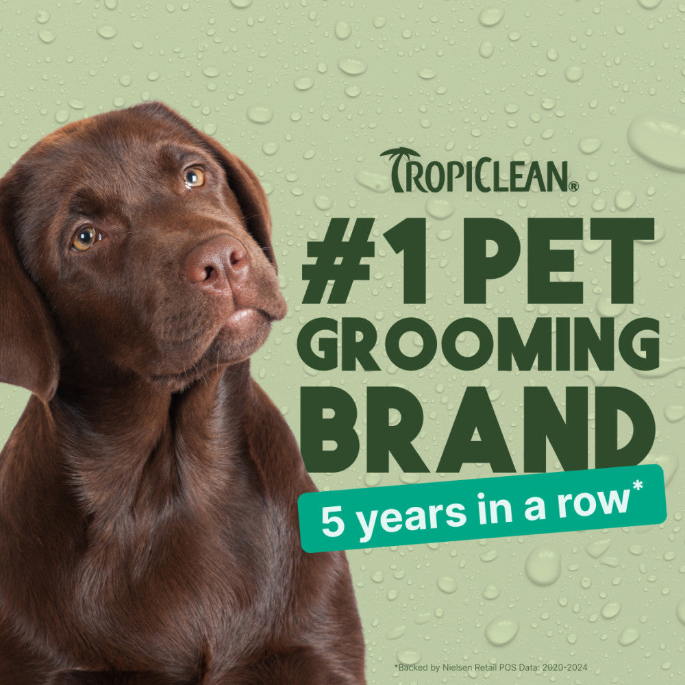 Chocolate Labrador with Tropiclean branding on a green background