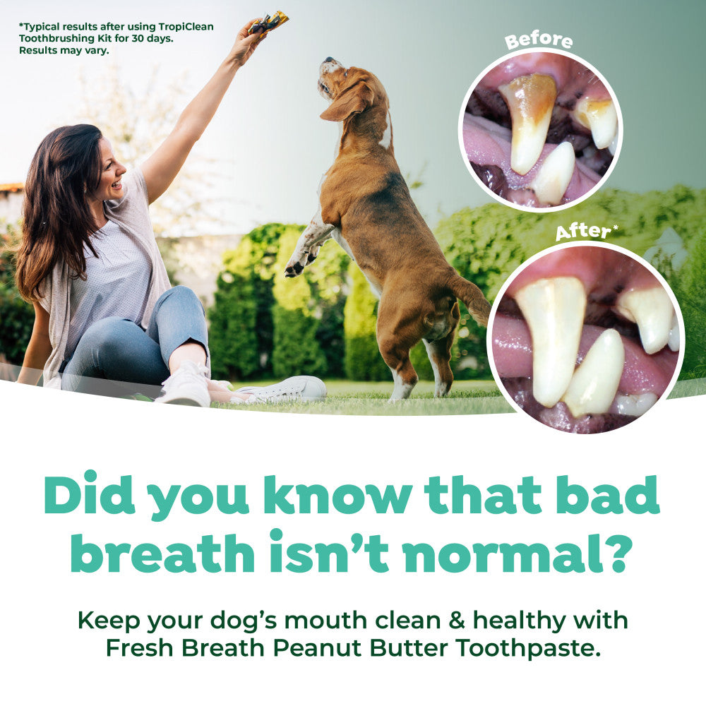 Fresh Breath Enticers Peanut Butter & Honey Tartar Control Dog Toothpaste by TropiClean. Woman playing with a dog in a park, with images of dental care before and after using TropiClean products.