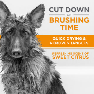 TropiClean Perfect Fur Thick Double Coat Shampoo for Dogs. Dog with text about grooming product features on a white background.