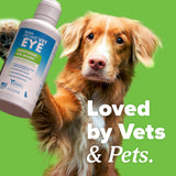 Dog with a bottle of TropiClean HomeVet Soothing Eye Wash for Dogs & Cats on a green background