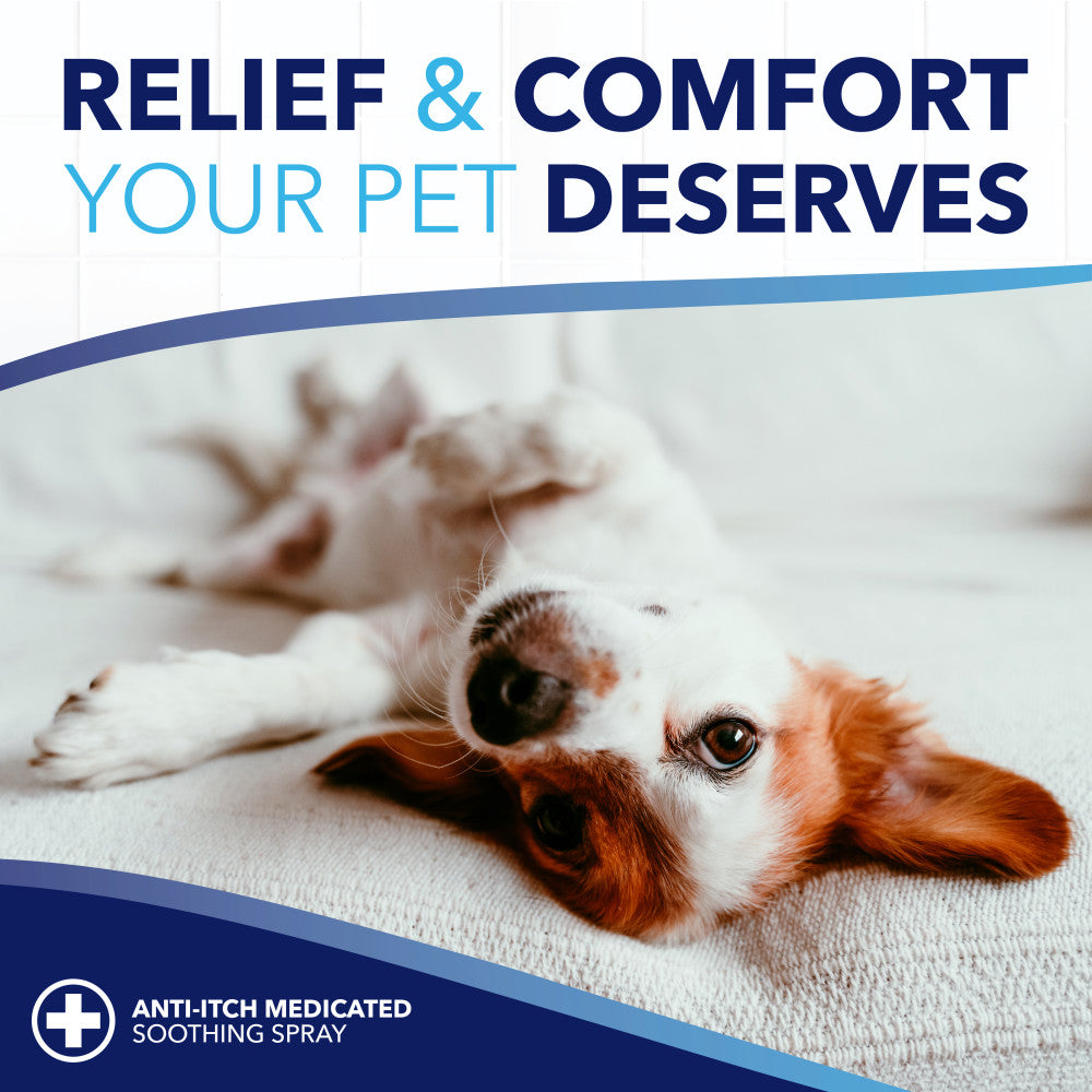 Dog lying down with text 'Relief & Comfort Your Pet Deserves' and 'Anti-Itch Medicated Soothing Spray' on a white background.