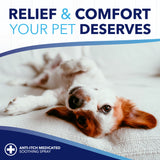 Dog lying down with text 'Relief & Comfort Your Pet Deserves' and 'Anti-Itch Medicated Soothing Spray' on a white background.
