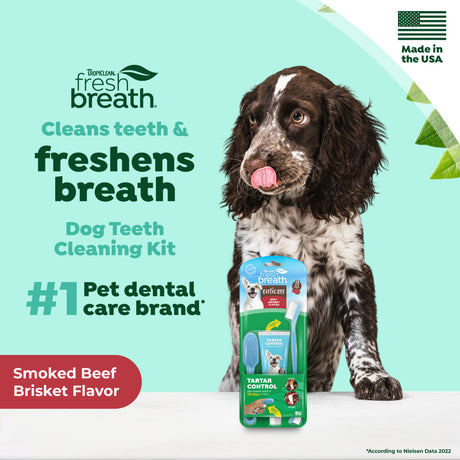Dog with a Fresh Breath Enticers Smoked Beef Brisket Oral Care Kit and text about fresh breath and pet dental care on a light green background