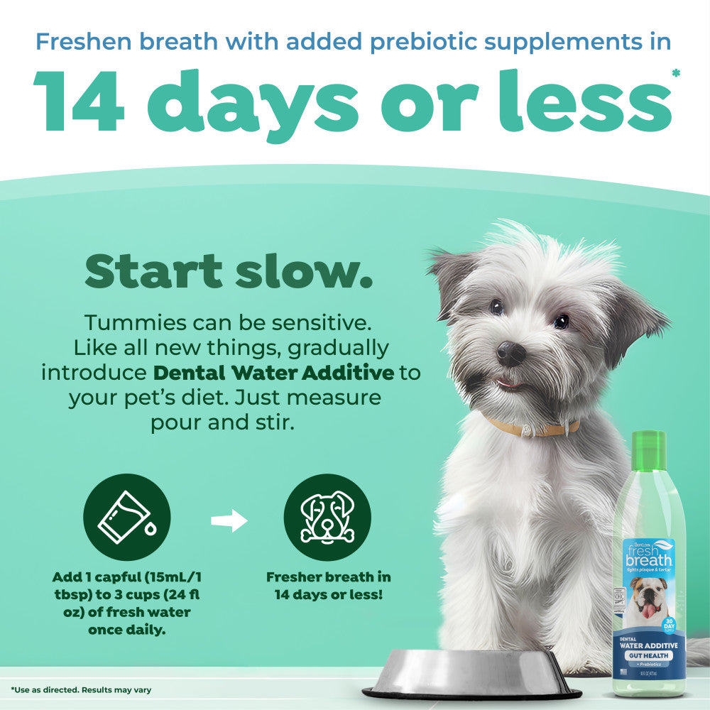 Dog with TropiClean Fresh Breath Dental Water Additive Plus Gut Health for Dogs bottle, promoting fresh breath with prebiotic supplements.