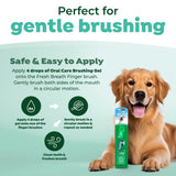 Golden laying down. Perfect for gentle brushing