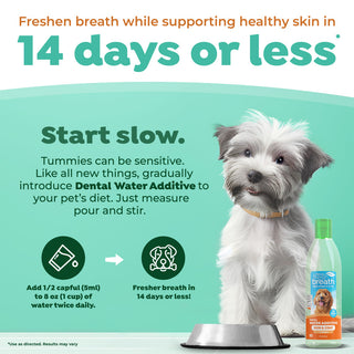 Dog with TropiClean Pet dental water additive bottle on a teal background, promoting fresh breath and healthy skin.