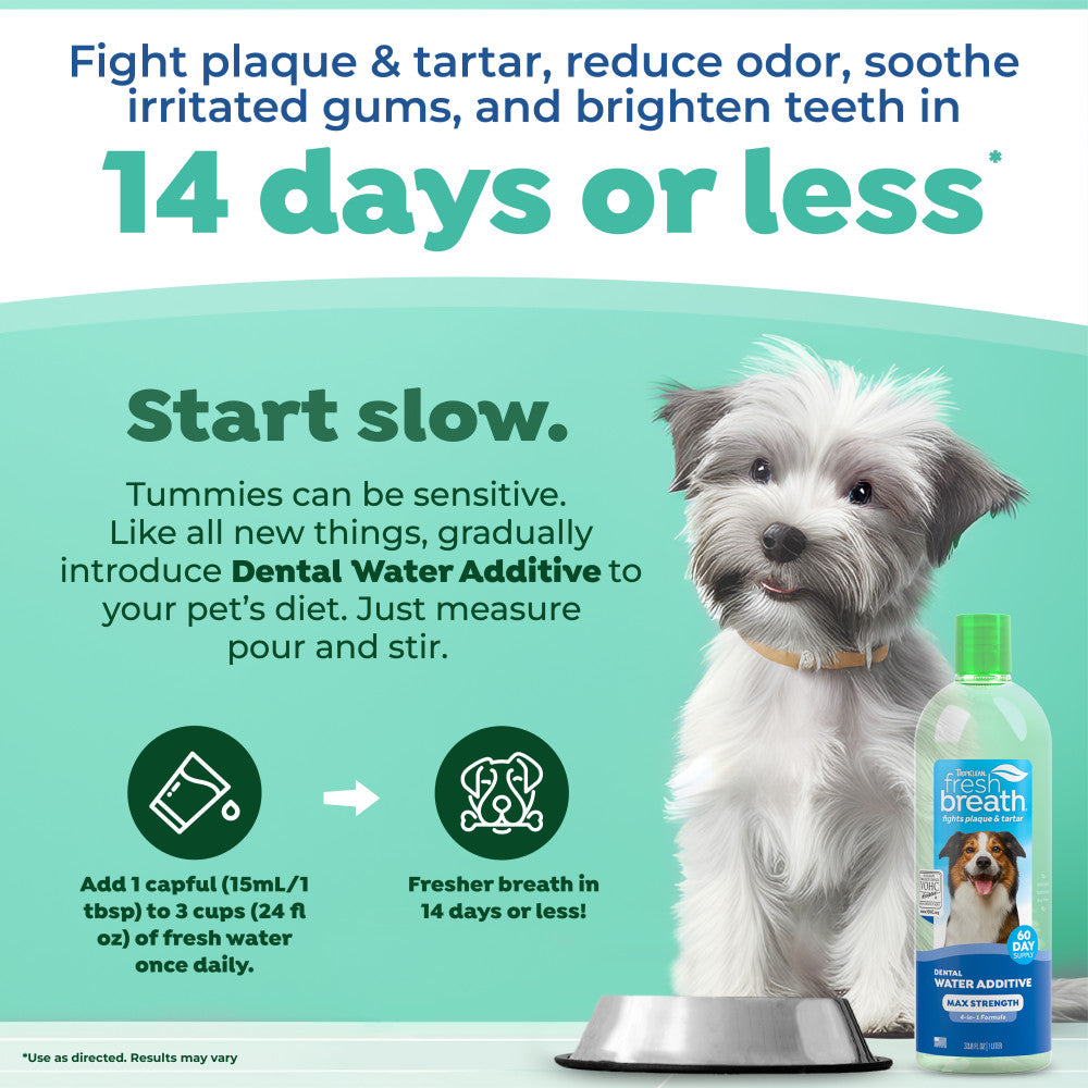 Dog with a bottle of TropiClean Fresh Breath Max Strength Dental Water Additive for Dogs, promoting pet dental care.