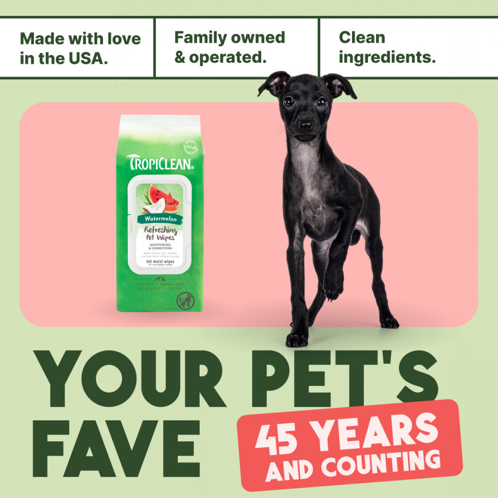 TropiClean Watermelon 2-In-1 Refreshing Wipes for Dogs & Cats with a black dog