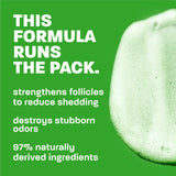 This formula runs the pack.