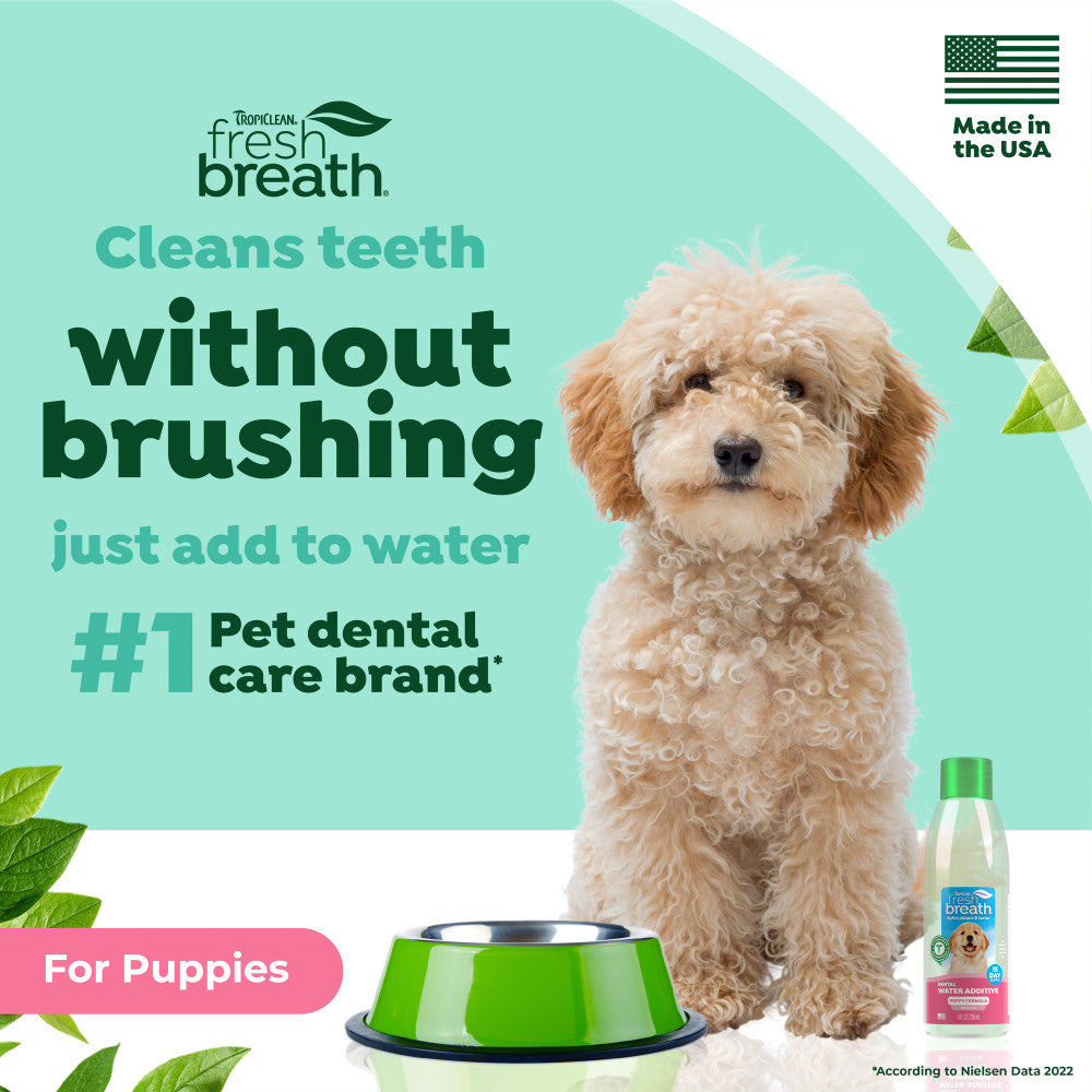Dog next to a bottle of TropiClean Fresh Breath Oral Care Water Additive for Puppies, front view of 8oz bottle with text about dental care for puppies.