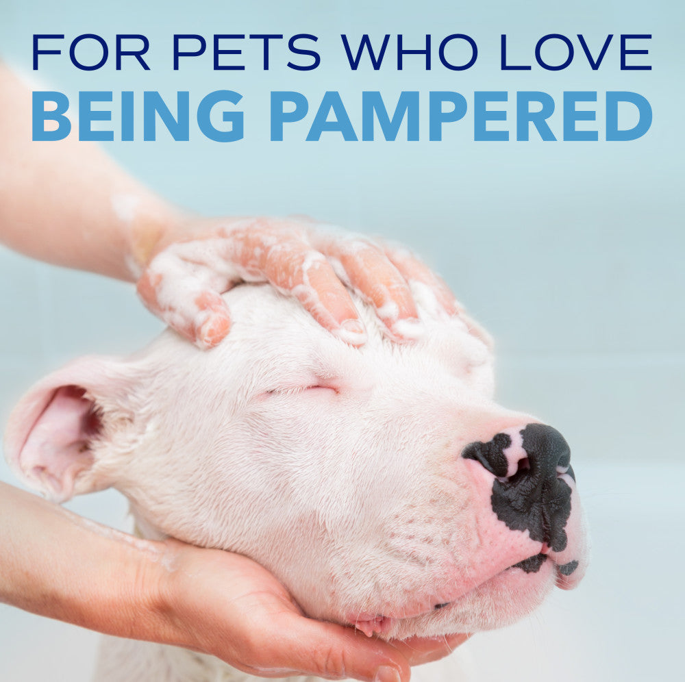Person washing a dog's face with SPA by TropiClean Tear Stain Remover for Pets, text 'For pets who love being pampered' on a light blue background