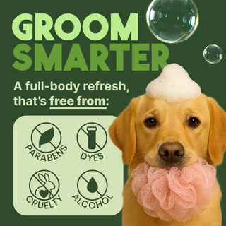TropiClean Aloe & Coconut Deodorizing Shampoo for Pets, 2.5 gal