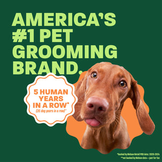 Vizsla head popping out. Text, 