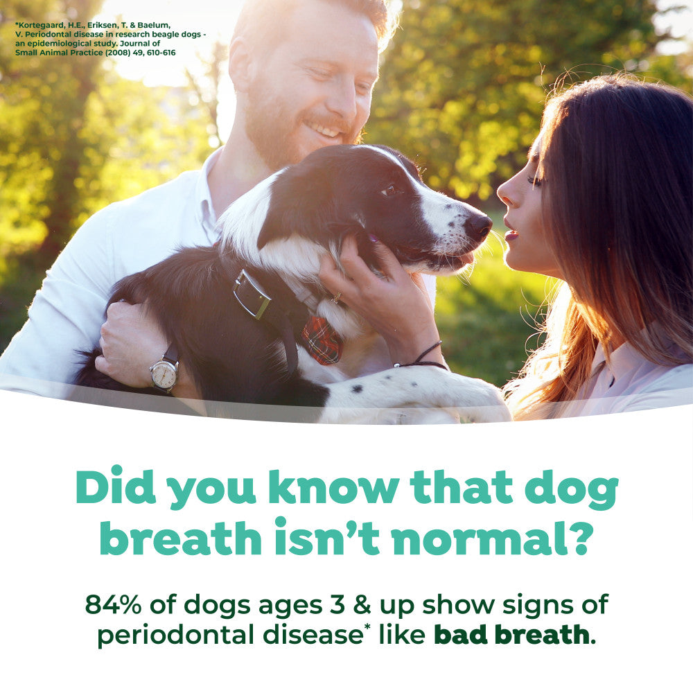 Man and woman holding a dog with text about dog breath and periodontal disease. TropiClean Fresh Breath Mint Foam for Dogs
