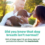 Man and woman holding a dog with text about dog breath and periodontal disease. TropiClean Fresh Breath Mint Foam for Dogs