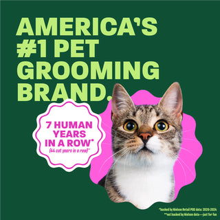 Cat head popping out. Text, 
