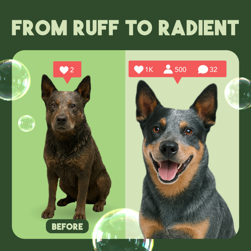 TropiClean Aloe & Coconut Deodorizing Dog & Cat Shampoo