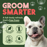 TropiClean Watermelon Deodorizing Spray for dogs & cats. Image of Dog with 'Groom Smarter' text and product features on a green background