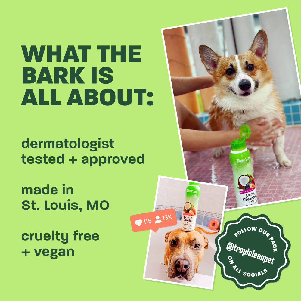 TropiClean Dog Grooming Kit, Papaya Pamper Pack