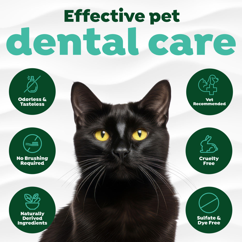 Fresh Breath by TropiClean Oral Care Water Additive for Cats. Black cat with icons promoting effective pet dental care on a white background