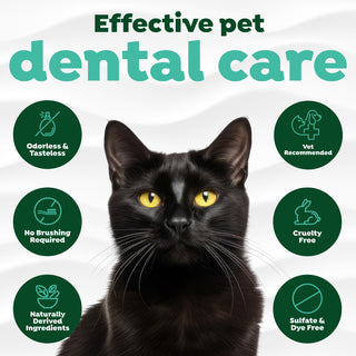 Fresh Breath by TropiClean Oral Care Water Additive for Cats. Black cat with icons promoting effective pet dental care on a white background