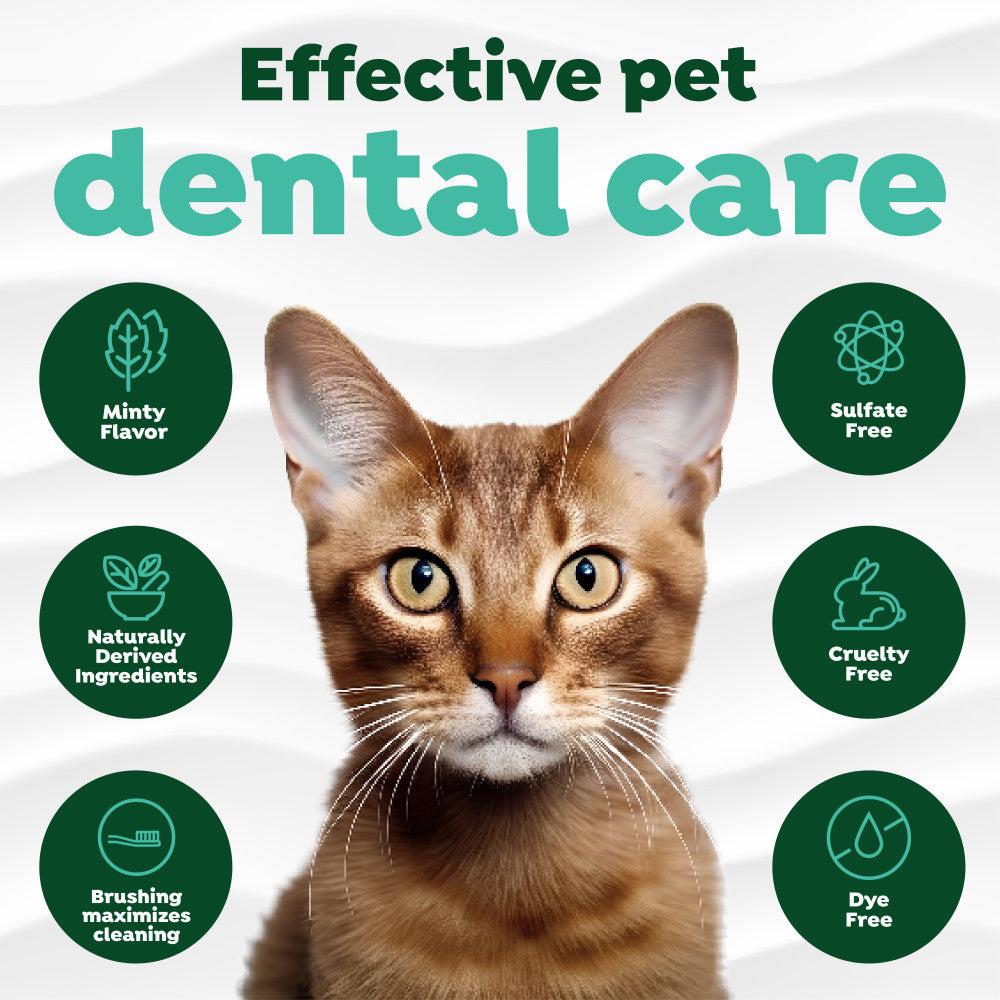 Cat with TropiClean Fresh Breath Plaque & Tartar Control Kit for Cats features on a white background