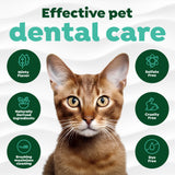 Cat with TropiClean Fresh Breath Plaque & Tartar Control Kit for Cats features on a white background
