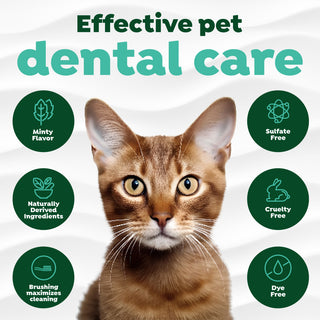 Cat with TropiClean Fresh Breath Plaque & Tartar Control Kit for Cats features on a white background