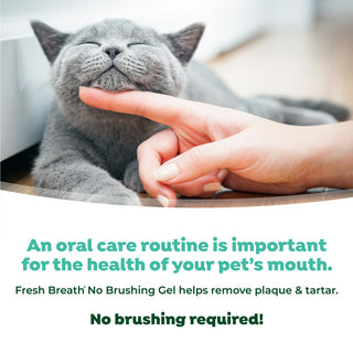 TropiClean Fresh Breath No Brushing Dental & Oral Care Gel for Cats. Cat being petted by a hand with promotional text about pet dental care gel.