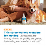 Dog with a bottle of TropiClean HomeVet Medicated Itch & Allergy Pet Spray and a person sitting next to it, with a testimonial about the product's effectiveness.