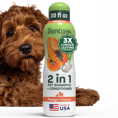 Doodle laying next to TropiClean Papaya + Coconut Pet Shampoo & Conditioner, 3X Front bottle on white background.