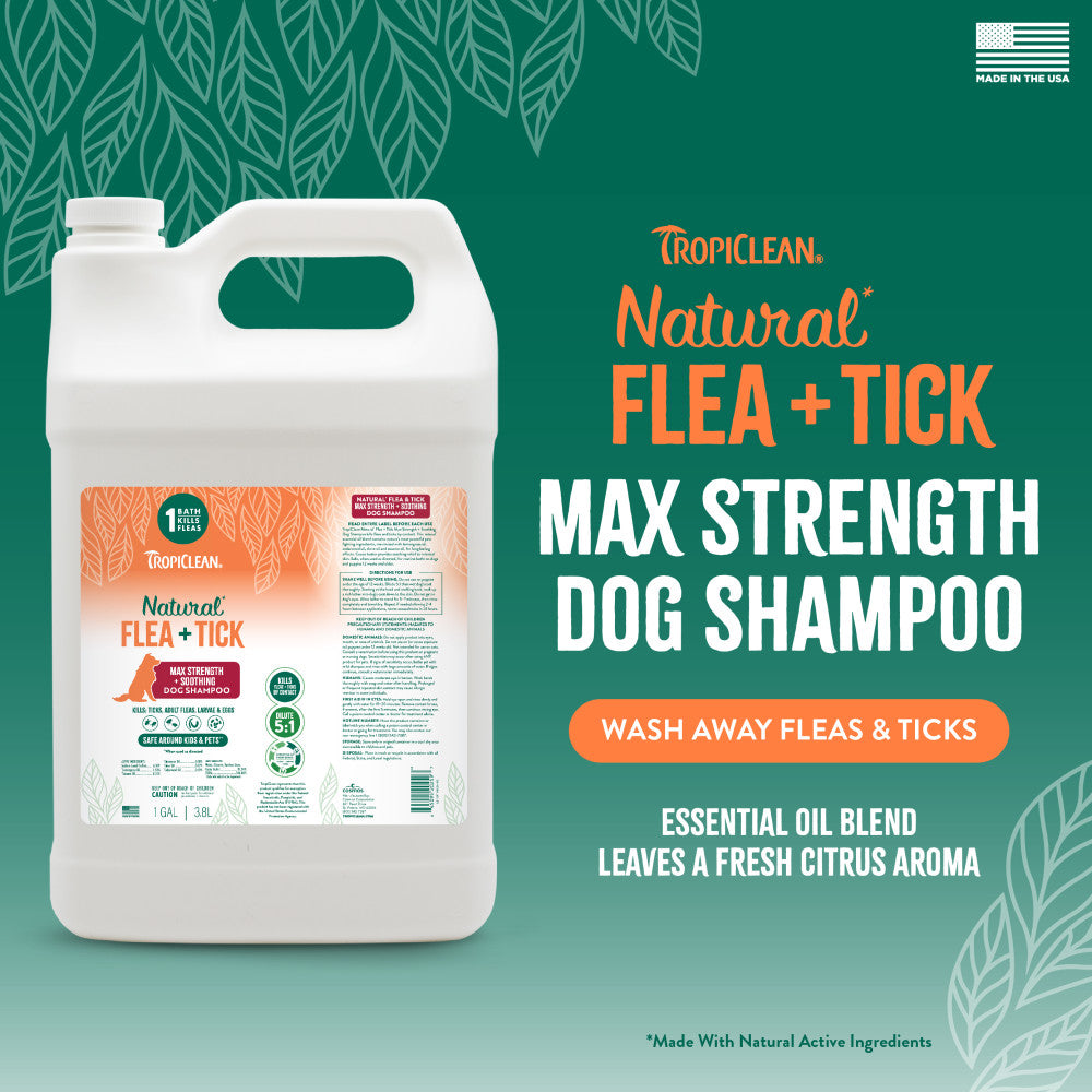 Wash away fleas & ticks
