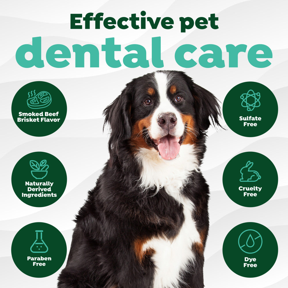 Fresh Breath Enticers Smoked Beef Brisket Oral Care Kit. Dog with 'Effective pet dental care' text and icons on a white background