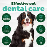 Fresh Breath Enticers Smoked Beef Brisket Oral Care Kit. Dog with 'Effective pet dental care' text and icons on a white background
