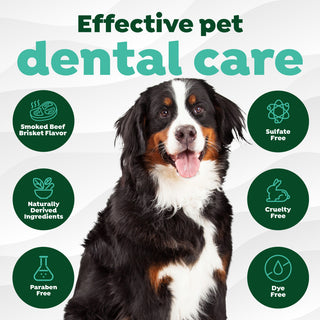 Fresh Breath Enticers Smoked Beef Brisket Oral Care Kit. Dog with 'Effective pet dental care' text and icons on a white background