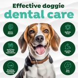 Effective dental care with features in green circles.