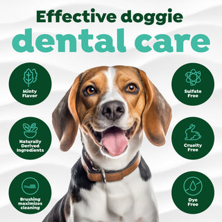 Effective dental care with features in green circles.