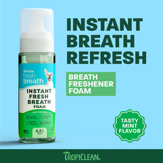 TropiClean Fresh Breath Instant Fresh Breath Pet Foam, 4.5oz