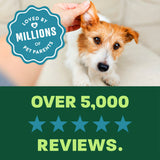 light green and green background, "Loved by millions" 5 star reviews.