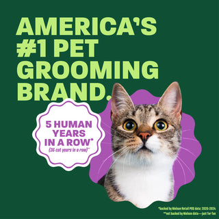 cat head popping out. Text, 