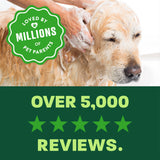 light green and green background, "Loved by millions" 5 star reviews.