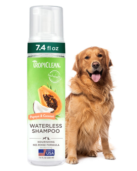 TropiClean Papaya & Coconut Waterless Shampoo for Dogs & Cats, image of 7.4oz spray bottle with Golden Retriever
