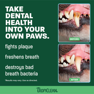 TropiClean Fresh Breath Beef Brisket Plaque & Tartar Control Brushing Kit, 2oz
