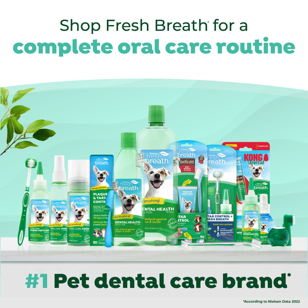 Fresh Breath Enticers Smoked Beef Brisket Oral Care Kit.  Assortment of pet dental care products with a promotional message on a light green background.