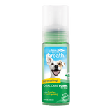 TropiClean Fresh Breath Mint Foam for Dogs, front image of bottle